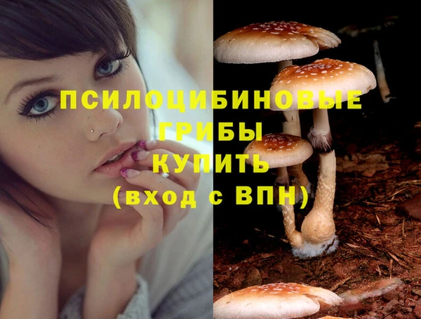 бошки Краснослободск