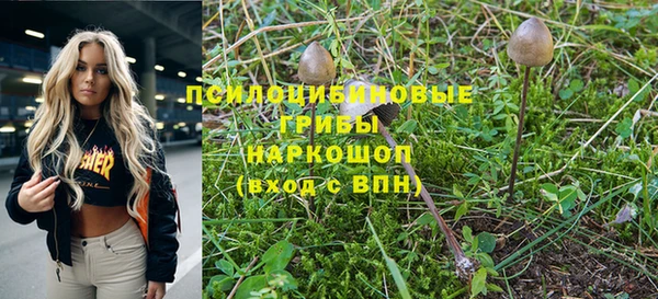 прущая мука Лабытнанги