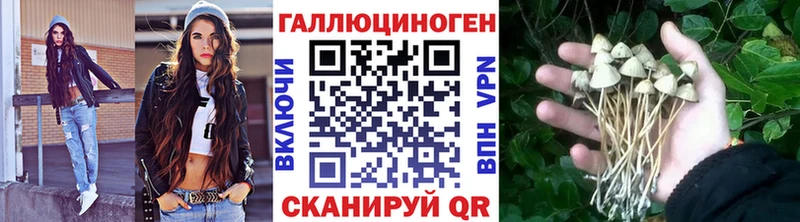 Псилоцибиновые грибы Psilocybine cubensis  где продают наркотики  Мелеуз 