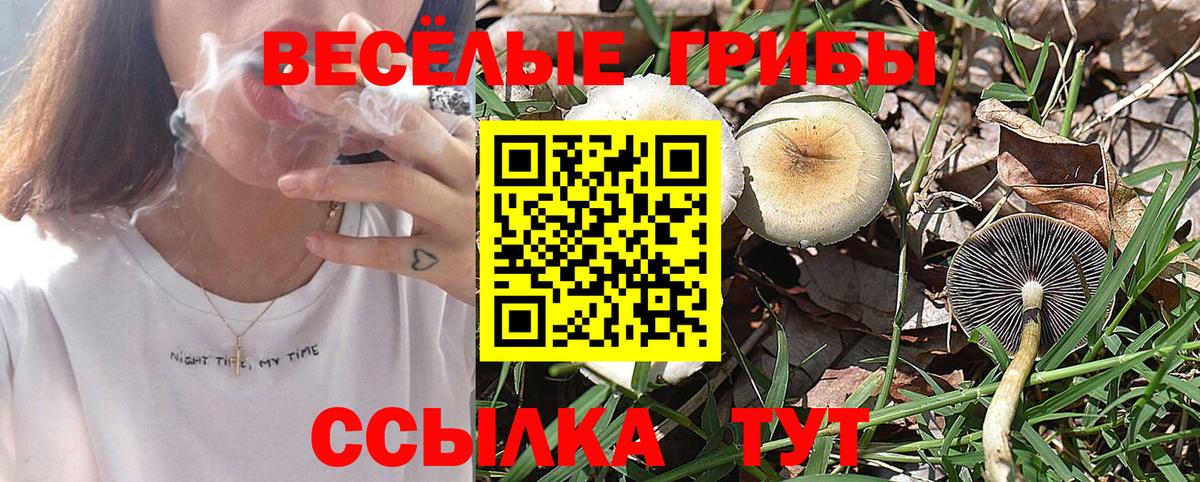 Псилоцибиновые грибы мицелий Мелеуз