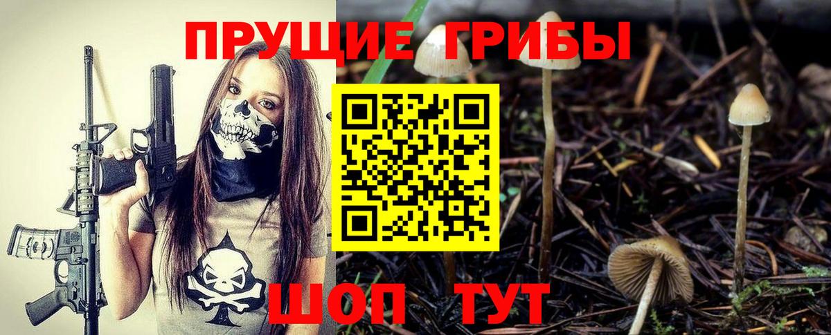 Псилоцибиновые грибы GOLDEN TEACHER Мелеуз